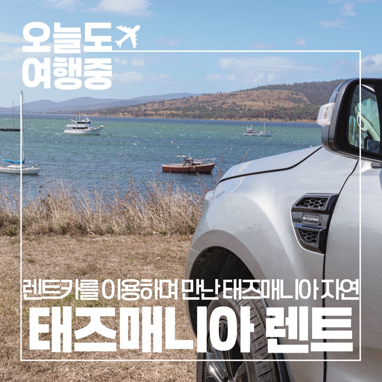  [태즈매니아 렌트카] SUV로 떠난 자유로운 여행 & 자연 속 드라이브