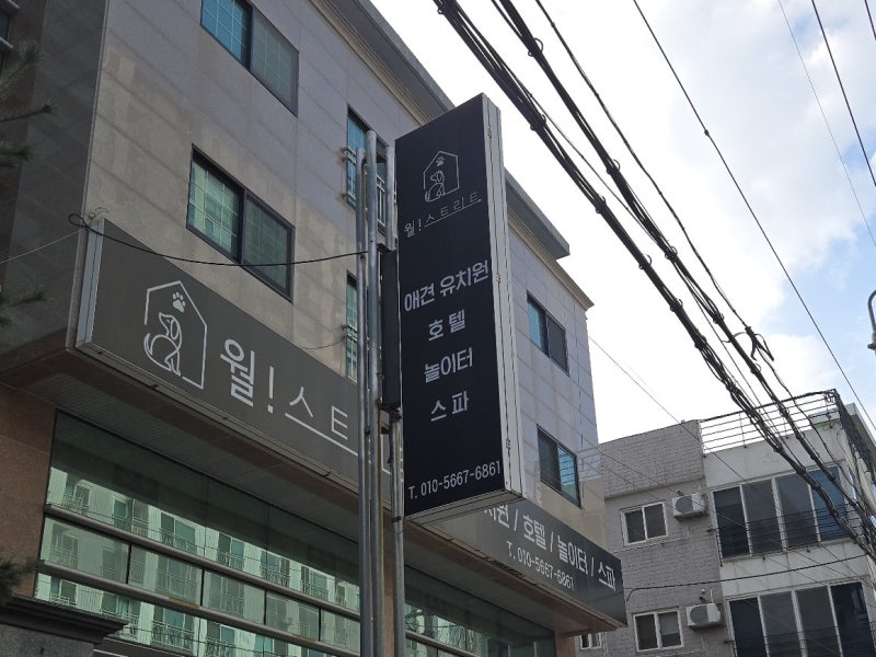 사진 3