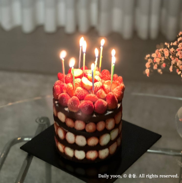  대전 | 성심당 케익부띠끄 딸기시루 2.3kg 후기