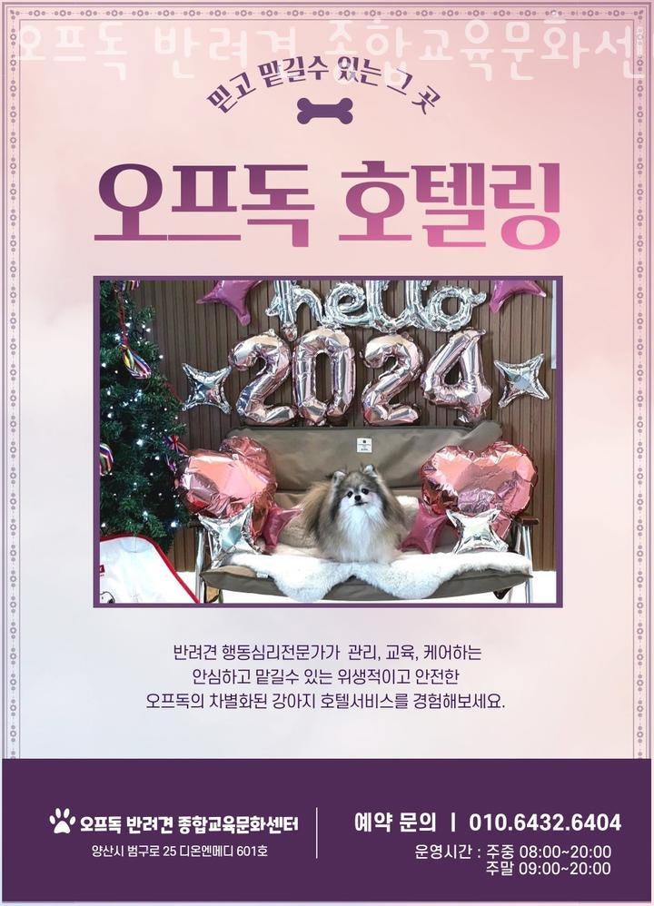 사진 2