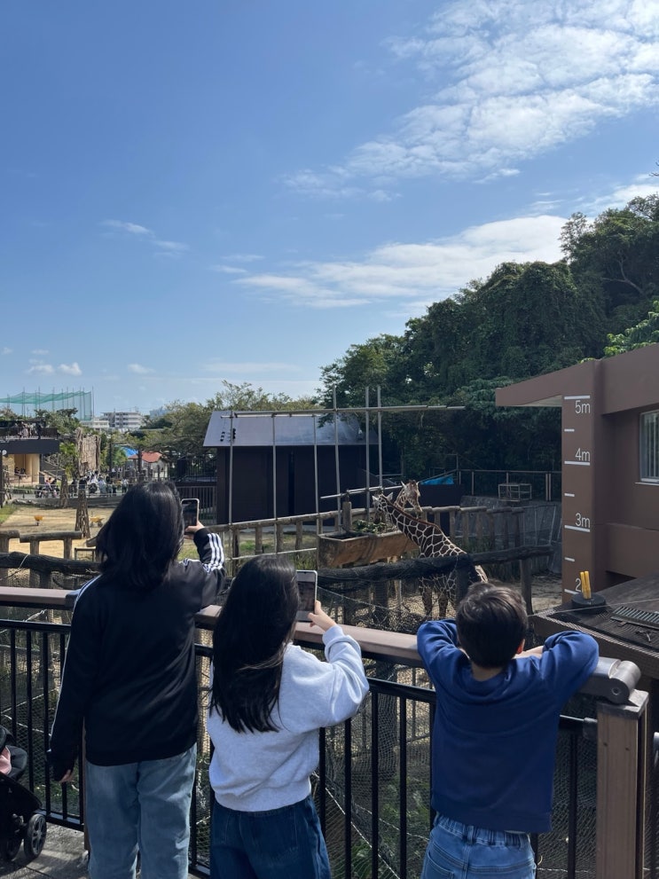  오키나와명소10. 오키나와 어린이나라(필수코스로 강추)