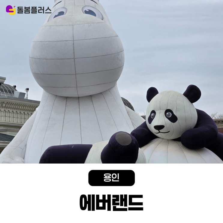  판다부터 사자까지! 에버랜드 사파리월드 완벽 가이드