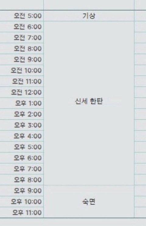 봄빛꿈을그리다 사진 1
