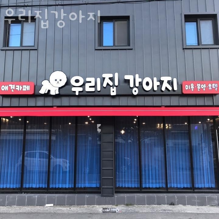 우리집강아지