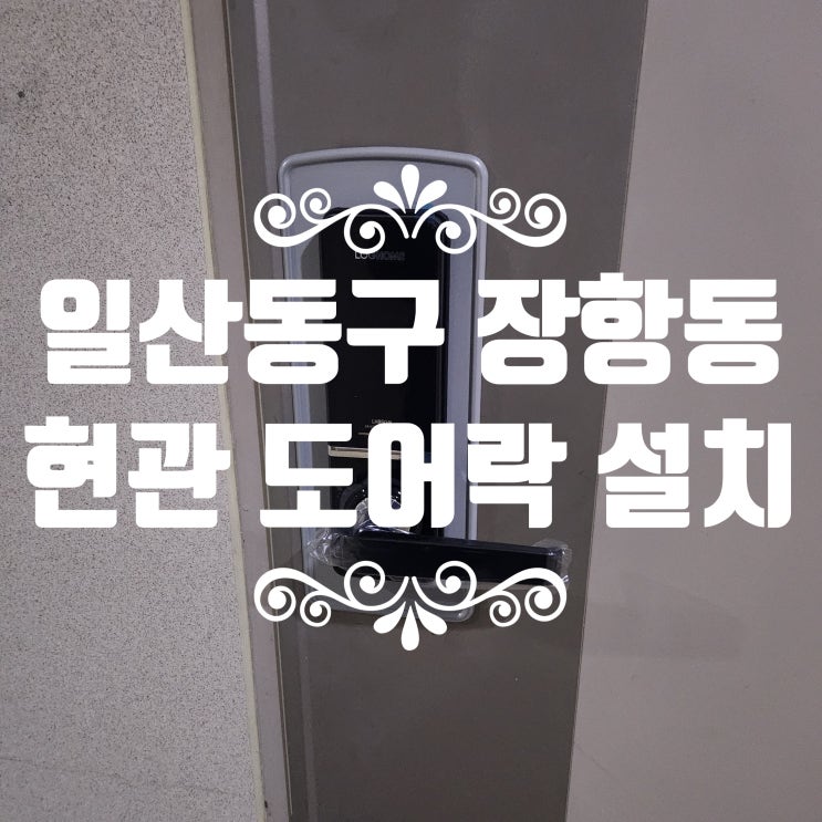  장항동 열쇠 도어락 고장? 무타공 번호키 설치로 해결했어요! 우림로데오스위트