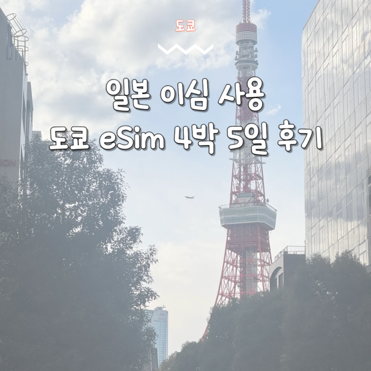  일본 이심 사용 후기 도쿄 월드이심 추천 소프트뱅크 5일 플랜
