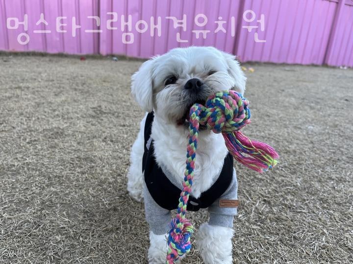 사진 2