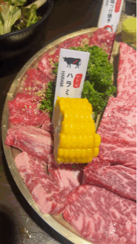  일본 현지 야키니쿠 감성 낭낭 오목교역맛집 모토이시 목동오목교점