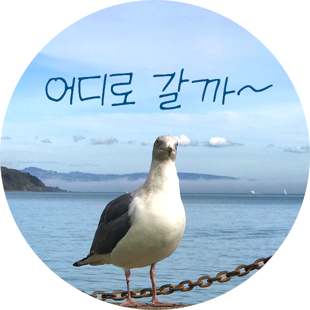  세계여행 준비 가이드! 추천 여행지·여행 준비 체크리스트·꿀팁 총정리