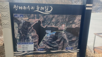 사진 3