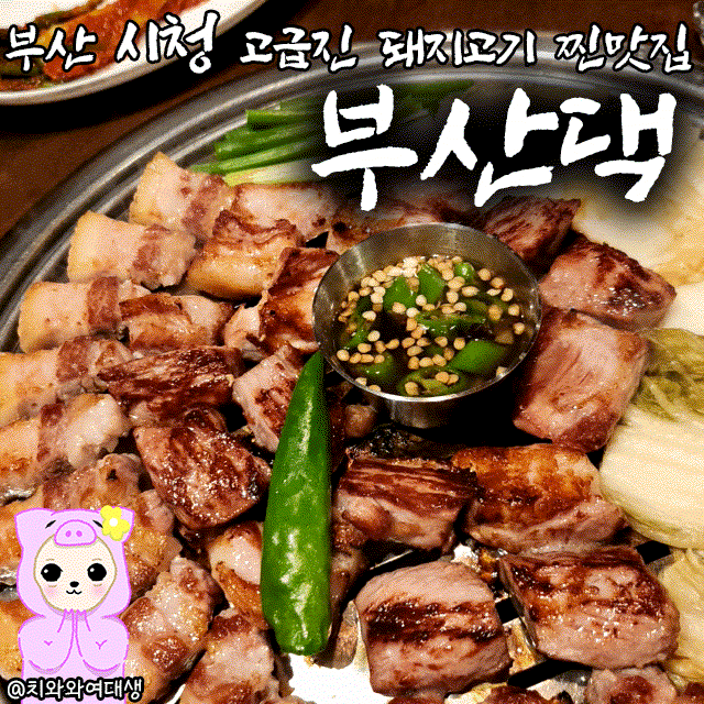 부산시청맛집 부산댁 고기집 추천