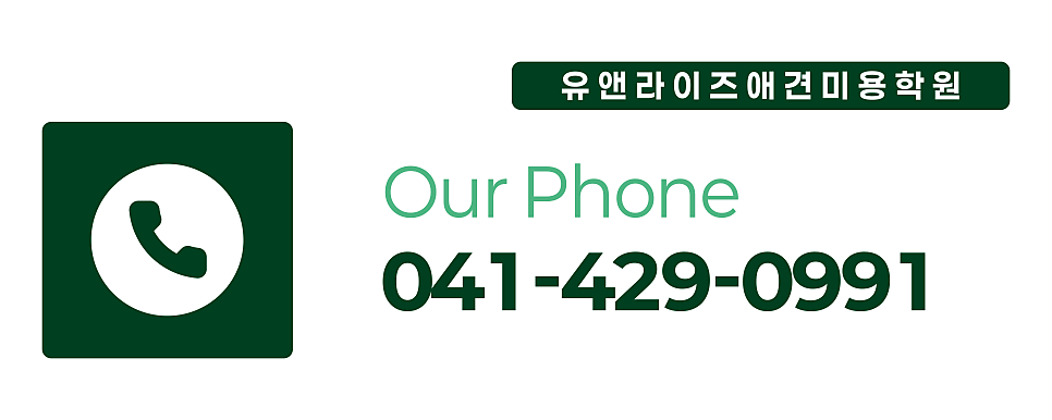 서산애견미용학원 사진 3