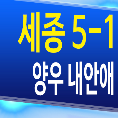  세종 5-1 양우 내안애 합강동 아파트 5생활권 미분양 분양조건 모델하우스 공급조건