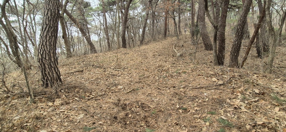 계동산 사진 4