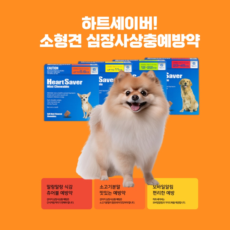 문호약국 사진 6
