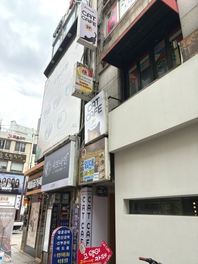 사진 7