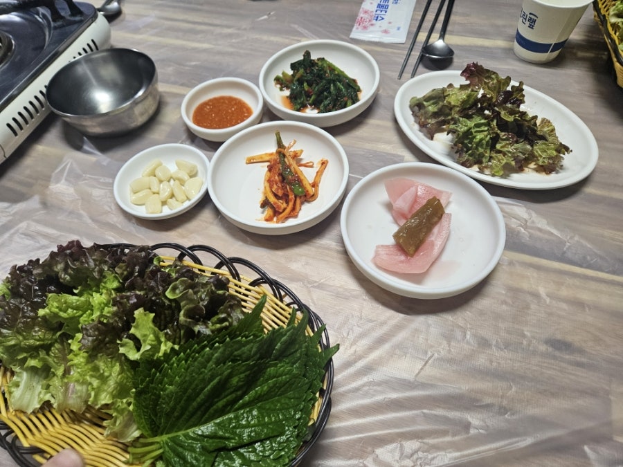 초원생오리 사진 2