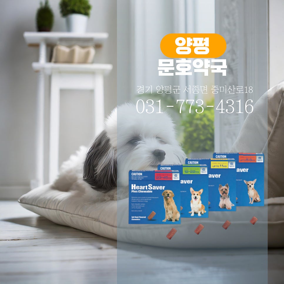 문호약국 사진 2