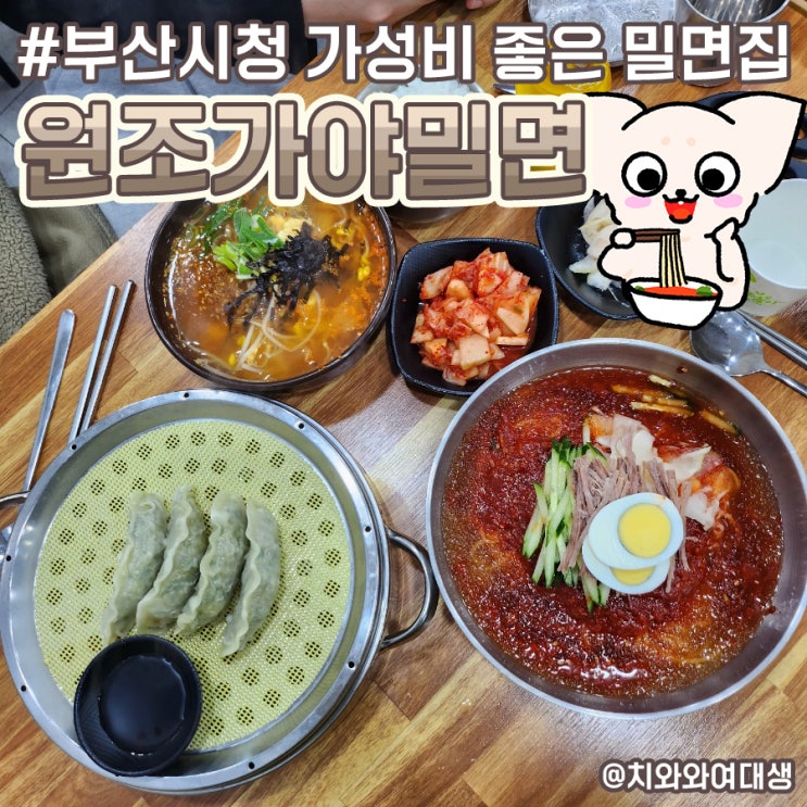  부산시청밀면 원조가야밀면 가성비 좋은 밥집