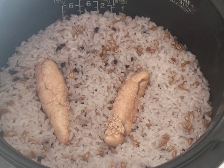  전기밥솥 명란밥 만들기