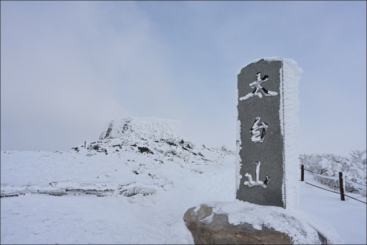  폭설내린 태백산 겨울산행(태백산 통제정보, 유일사 주차장, 태백산 설경, 태백산 눈꽃)