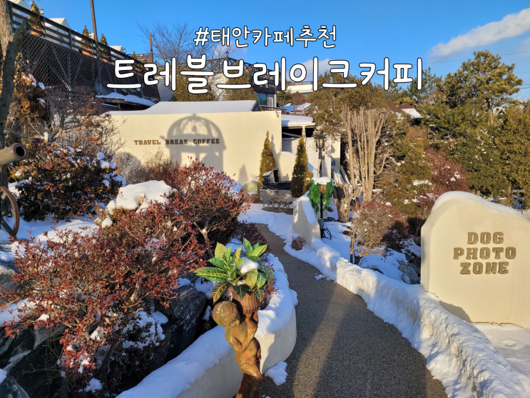  유럽감성 낭낭한 태안 애견동반가능 대형카페 '트레블브레이크커피' 후기