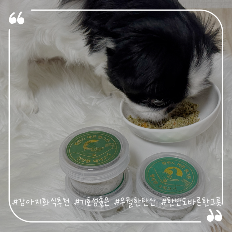  강아지화식추천 기호성좋은 우월한탄산 한반도바른한그릇