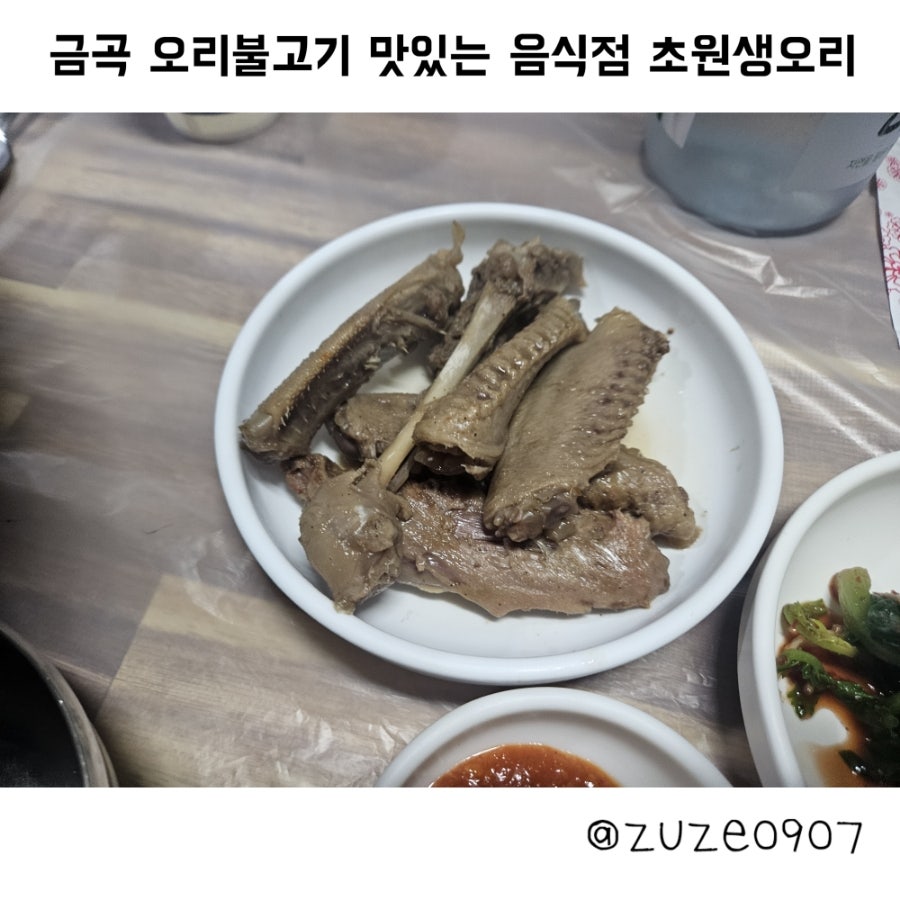 초원생오리 사진 1