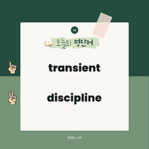 transient, discipline 영단어 뜻 발음 예문 해석 유의어 반의어 정리