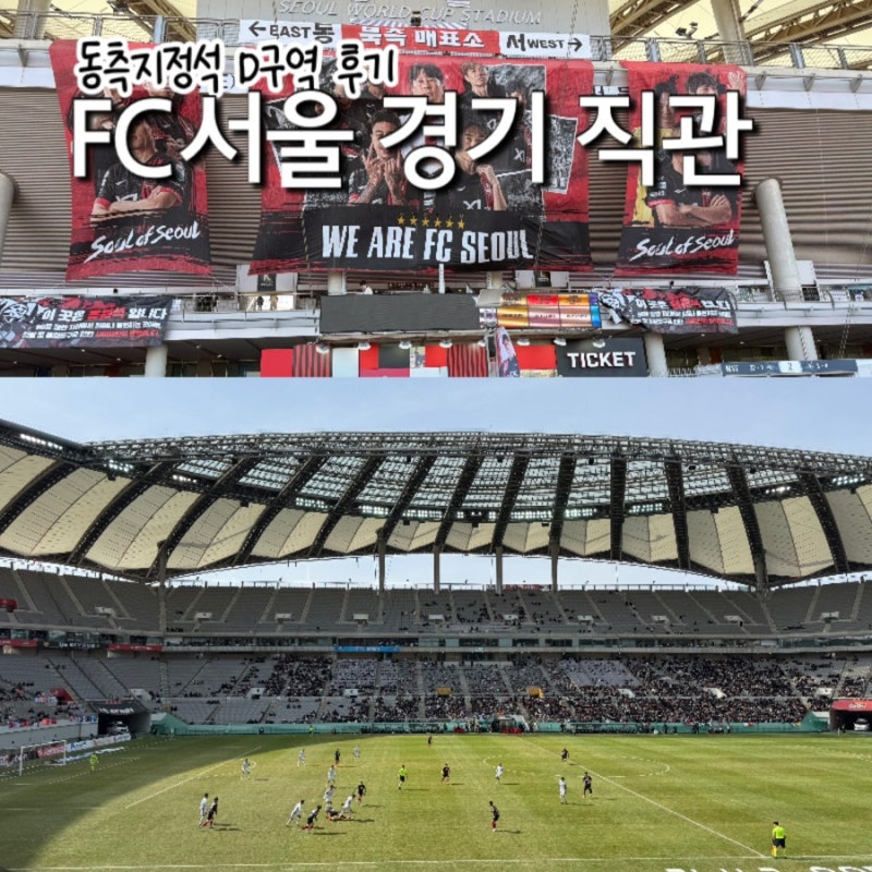 FC서울 예매 방법 D구역 F구역 좌석 후기