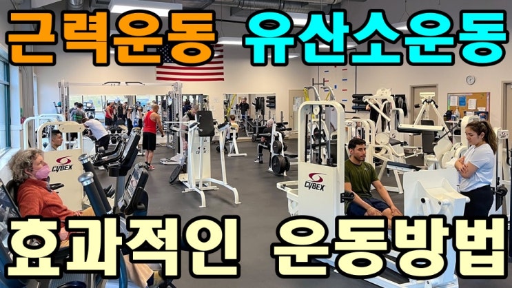  근력운동 유산소운동 효과적인 운동방법