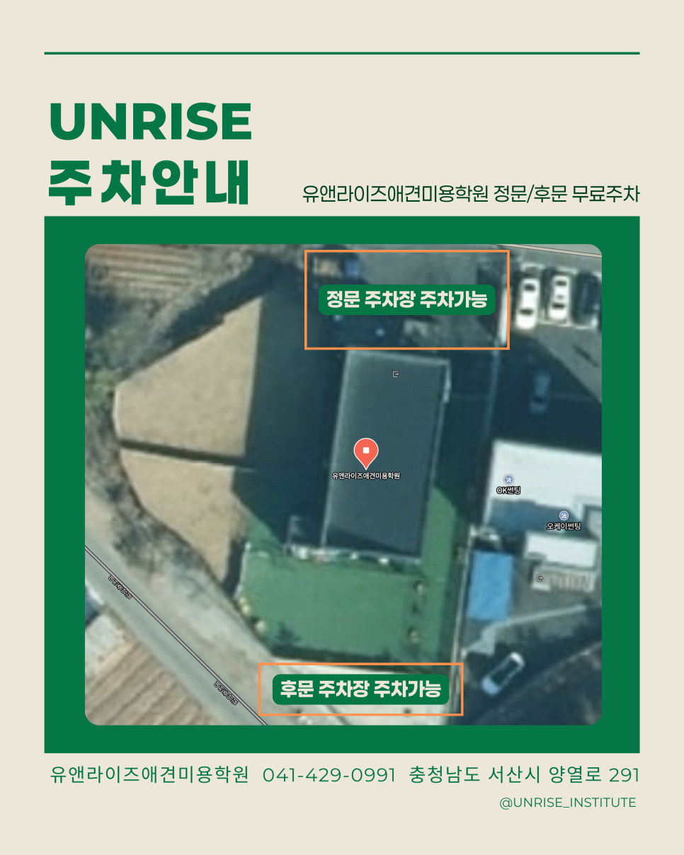 서산애견미용학원 사진 1