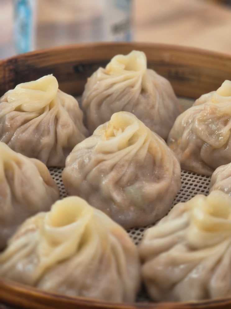  원주 만두맛집 온가족이 즐기는 군만두 소룡포 우육면 맛집 동승루