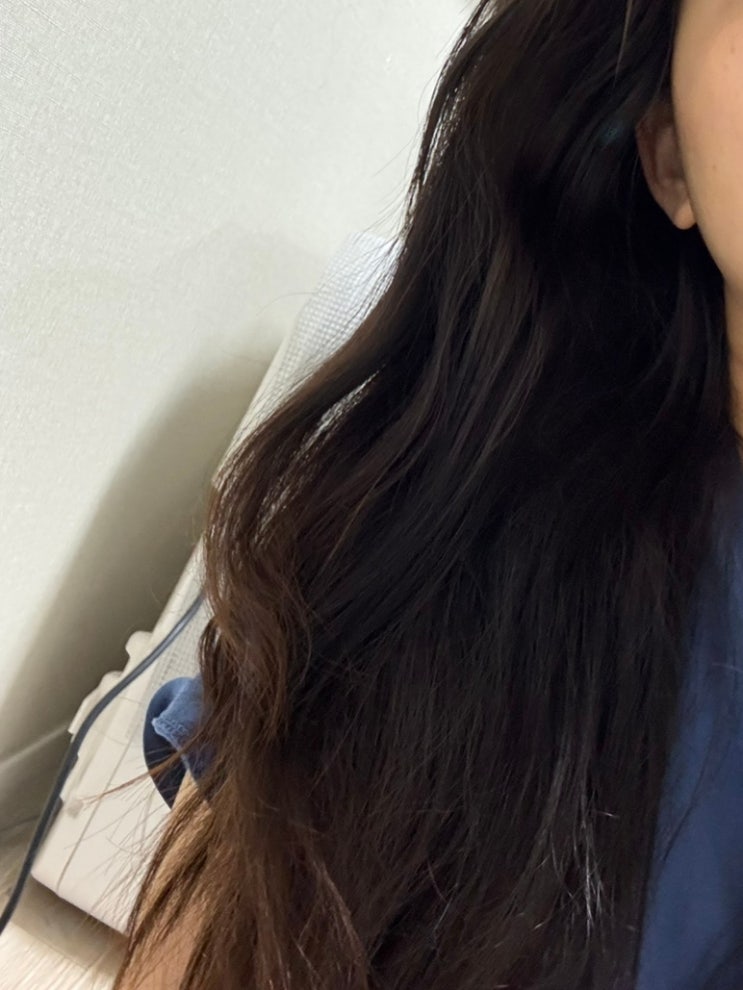  향 좋은 극손상모 헤어 퍼퓸 미스트 추천 후기 ft.두피케어까지!