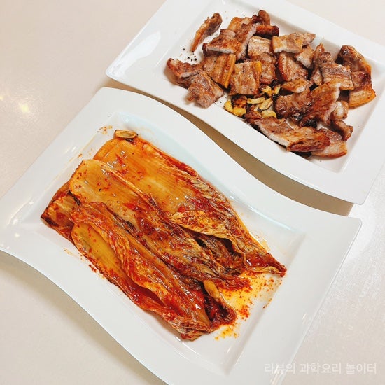 닌자 에어그릴 에어프라이어 얇은 삼겹살 김치 굽는법 에어프라이기