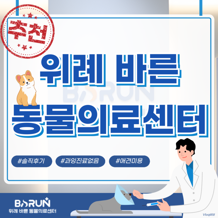  위례동물병원 추천 고양이 건강검진 방문 후기