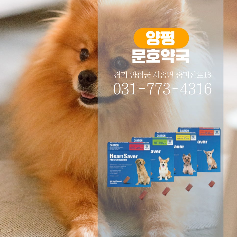 문호약국 사진 4
