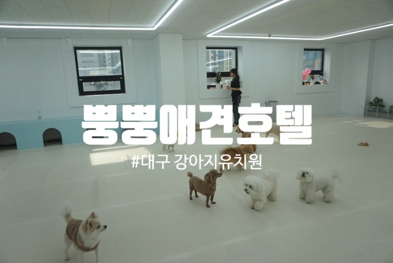 사진 6