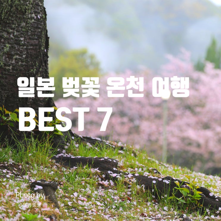 일본 벚꽃 온천 여행 BEST 7 | 하코네, 벳부, 유후인 추천