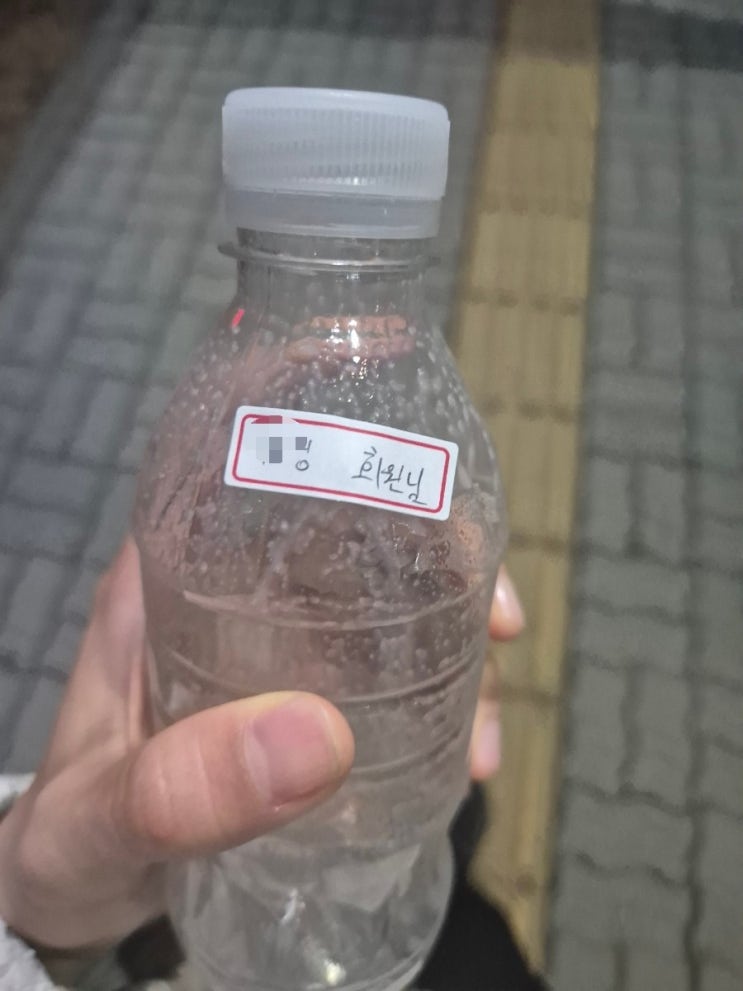  무실동 피티 율핏 피트니스 체형교정 피티(4) 척추측만증, 견갑골익상,승모근까지