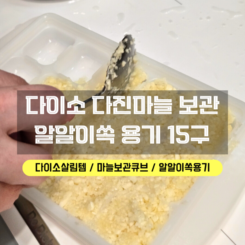 다이소 마늘보관 다진거 큐브 소분용기