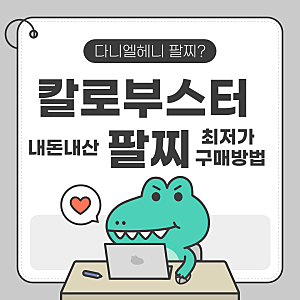 요즘 핫한 칼로부스터팔찌 내돈내산 후기 최저가 구매 꿀팁