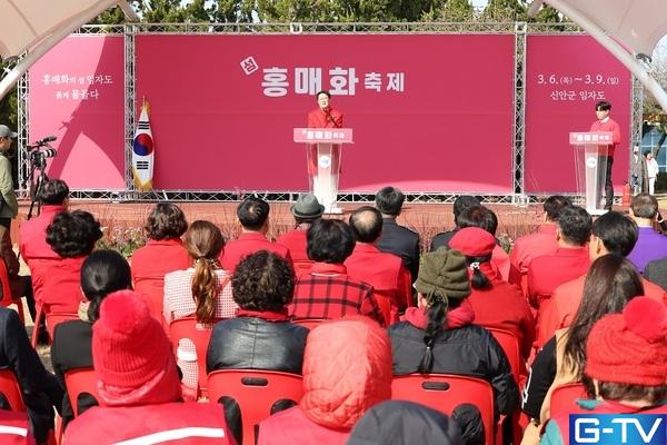  신안 홍매화축제 개막! 1004섬에 붉게 물든 봄 - 광주뉴스 TV