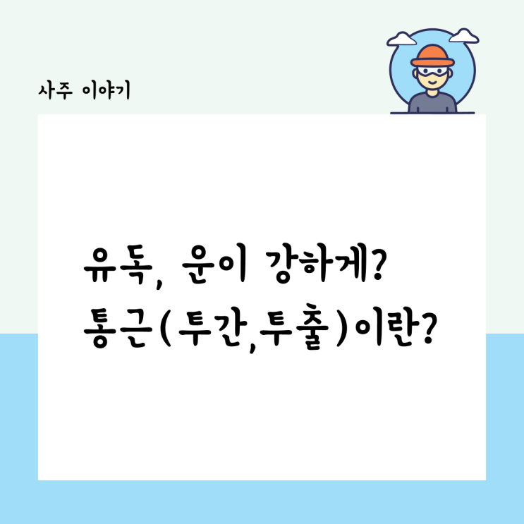  유독 운이 강하게 작용하는 이유? 사주에서 통근(투출, 투간)이란?