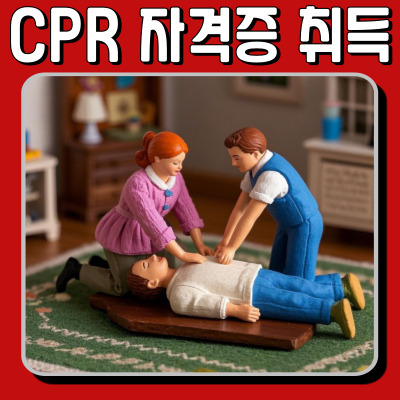 CPR 배우고 싶다면? 심폐소생술 교육 및 자격증 취득법
