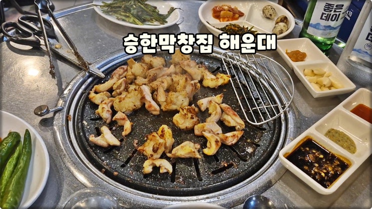해운대맛집은 승한막창집본점 해운대해수욕장핫플 막창대창먹방 해운대맛집은 승한막창집본점 해운대해수욕장핫플 막창대창먹방