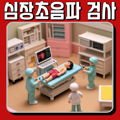 심장초음파 검사, 어떻게 진행될까? 방법부터 비용까지 총정리!