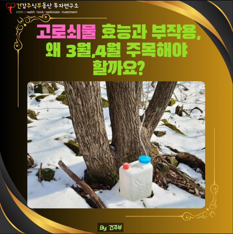  고로쇠물 효능과 부작용, 그리고 섭취 방법 – 3,4월 왜 주목해야 할까요?