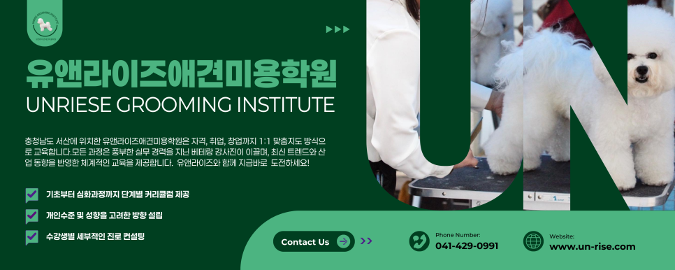 서산애견미용학원 사진 2