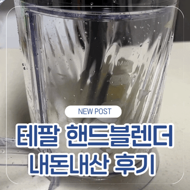 코스트코 테팔 핸드블렌더 내돈내산 후기